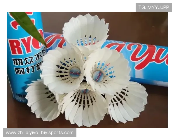 羽毛球什么球头好